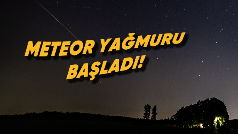 Perseid Meteor Yağmuru En Yüksek Seviyesine Ulaştı: İşte Sosyal Medyaya Yansıyan Büyüleyici Görüntüler